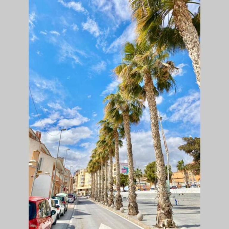 Campello Apartamento junto a la playa 2-4 pax Inmobiliaria Leo - Apartamento - 46
