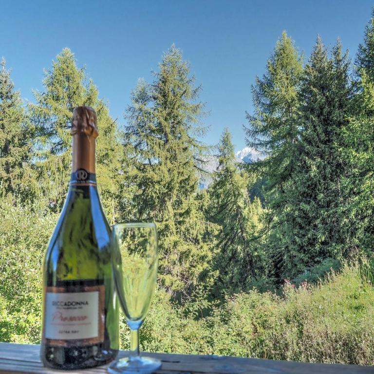 Chardon Bleu - Chalet - 10