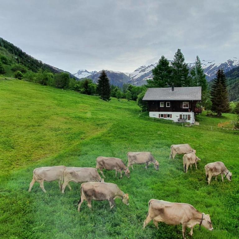 Chalet Breithorn- Perfect for Holiday with Amazing View! - Loft-Apartment B mit Whirlpool - 17