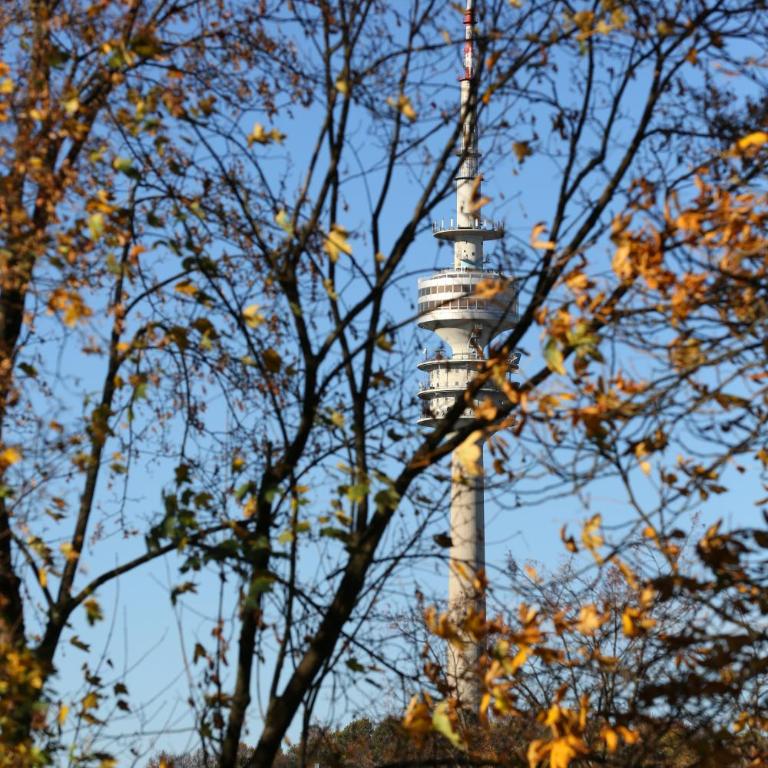 Business Suiten - Superior Apartment mit 2 Schlafzimmern - 5