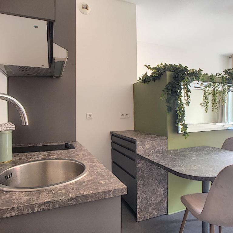 Palais Gioffredo place Massena - Appartement 1 Chambre - 4