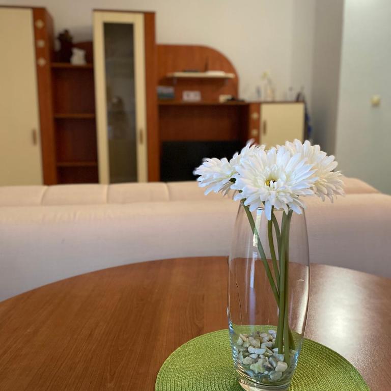 Katarina Apartments - Apartman s 2 Spavaće Sobe, Balkonom i Pogledom na More - u Potkrovlju - 6
