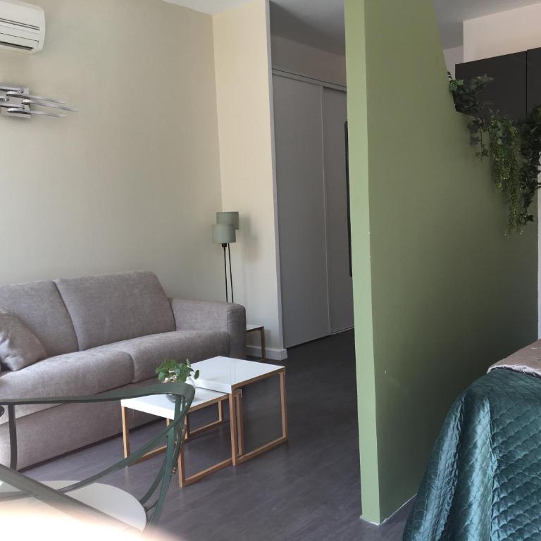 Palais Gioffredo place Massena - Appartement 1 Chambre - 21