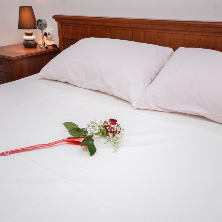 Apartments Petkovic Budva - Studio s Pogledom na Vrt - 1