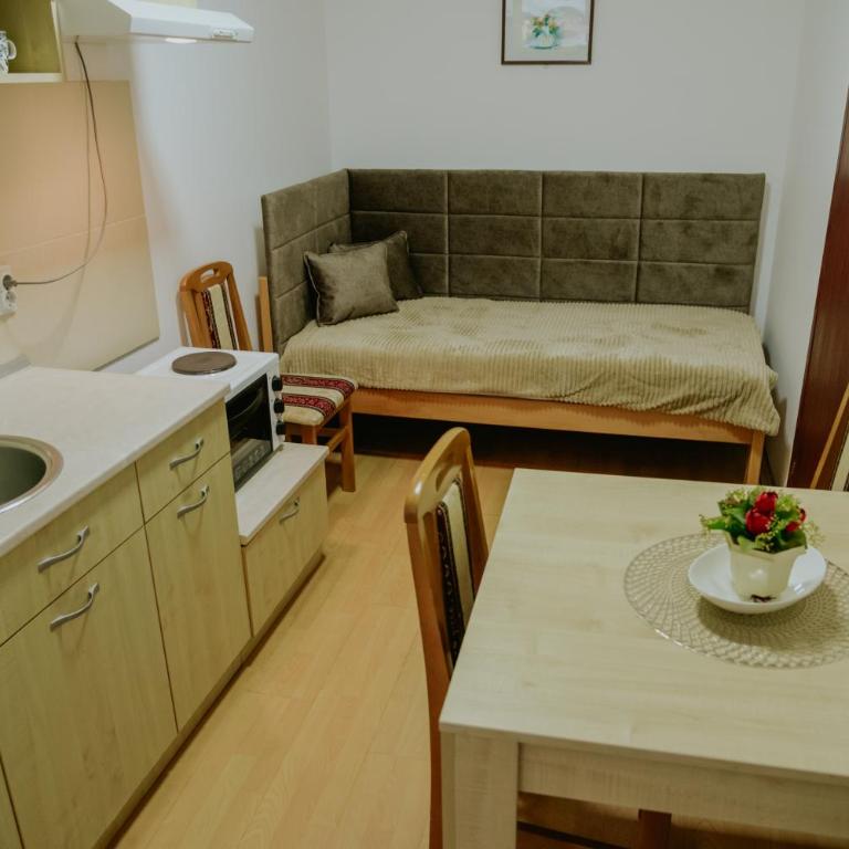 Vila Dinka - Apartman sa Terasom - 10