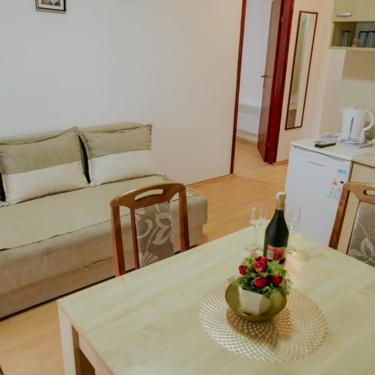 Vila Dinka - Apartman sa Terasom - 9