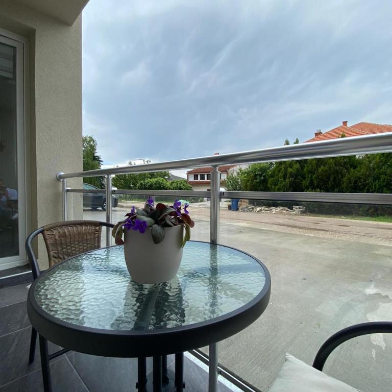 Apartmani JOVANOVIC Sokobanja - Apartman sa 1 Spavaćom Sobom - 23
