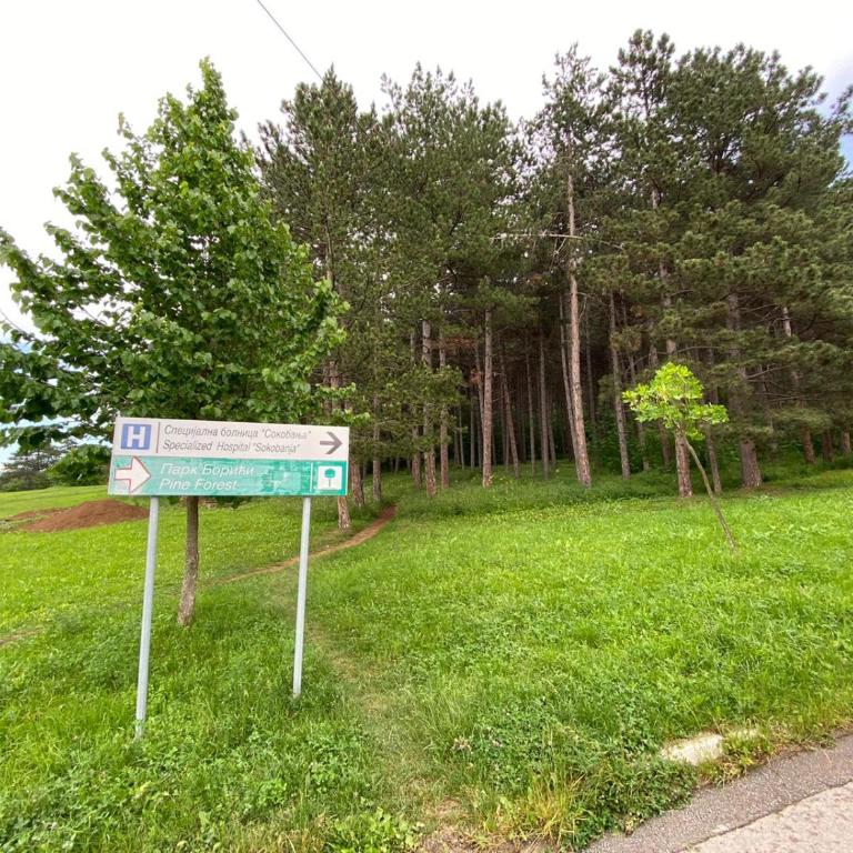 Apartmani JOVANOVIC Sokobanja - Apartman sa 1 Spavaćom Sobom - 29
