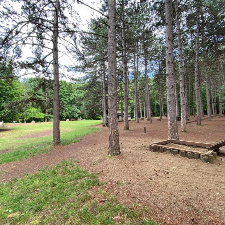 Apartmani JOVANOVIC Sokobanja - Apartman sa 1 Spavaćom Sobom - 36