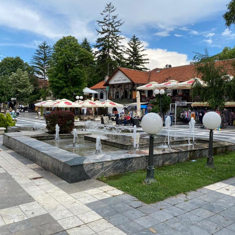 Apartmani JOVANOVIC Sokobanja - Apartman sa 1 Spavaćom Sobom - 41