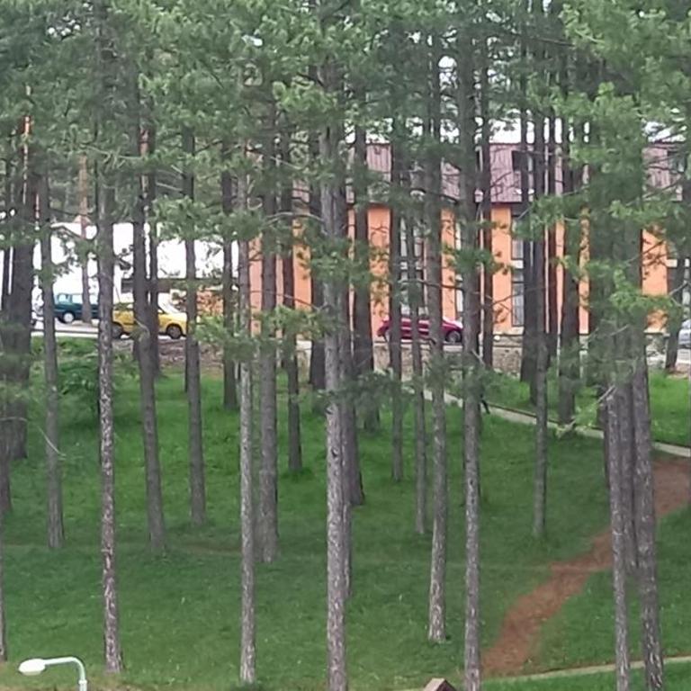 Zlatibor apartmani centar - Apartman sa 1 Spavaćom Sobom - 24