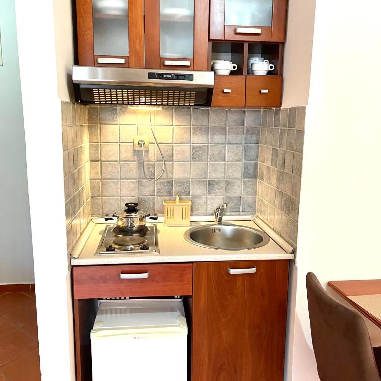 Apartments Petkovic Budva - Studio sa Terasom - 8