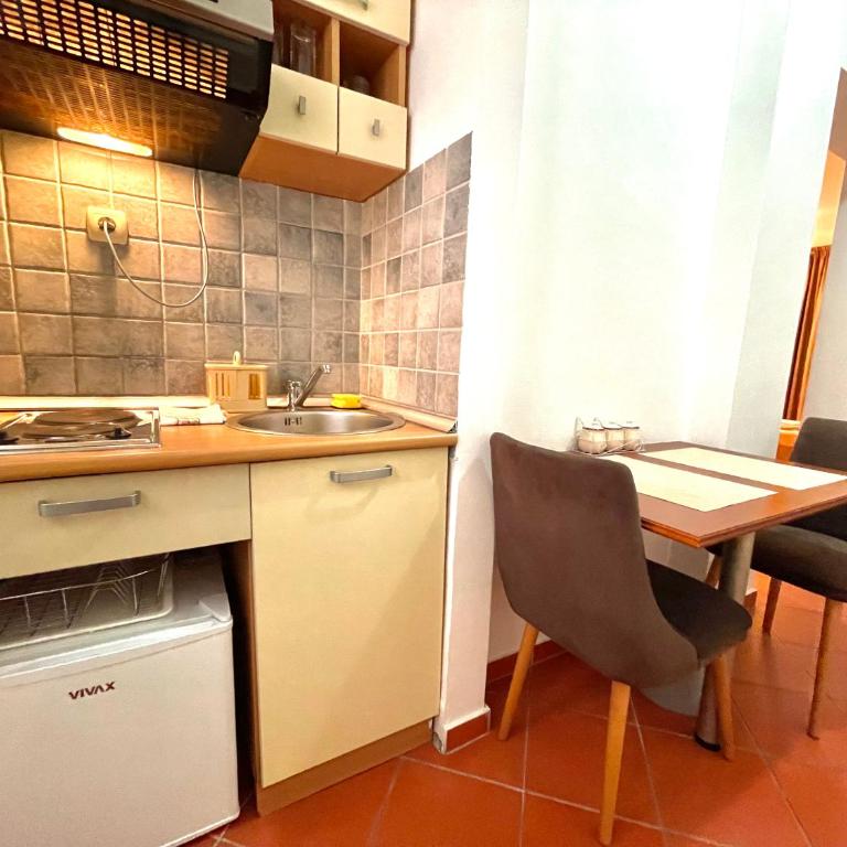 Apartments Petkovic Budva - Studio sa Terasom - 11