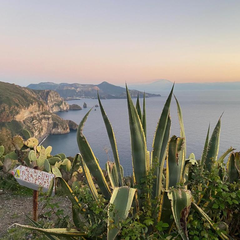 Lipari Centro Storico Flat 7 mins from port - Appartamento con 1 Camera da Letto - 39
