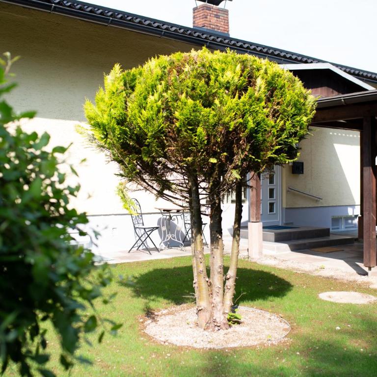 Villa Forellenweg - Ferienhaus - 9