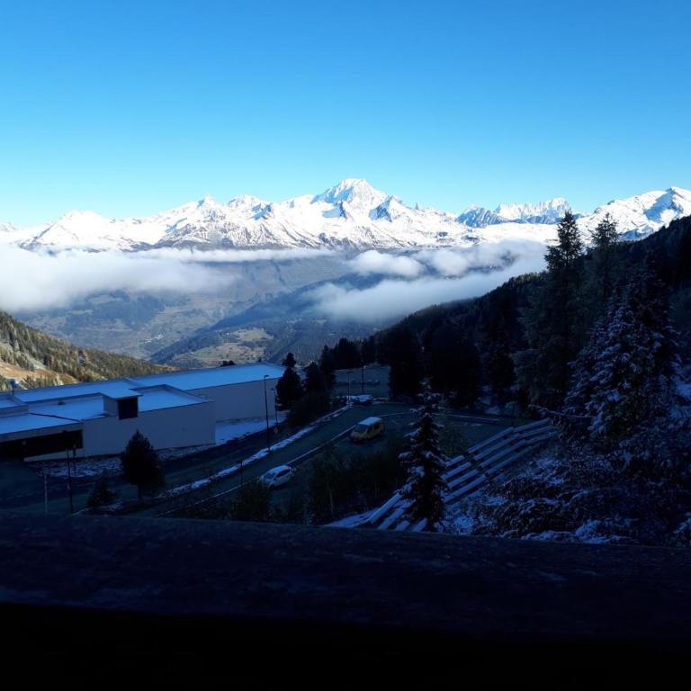 Le choucas - Les Arcs - Studio - 2