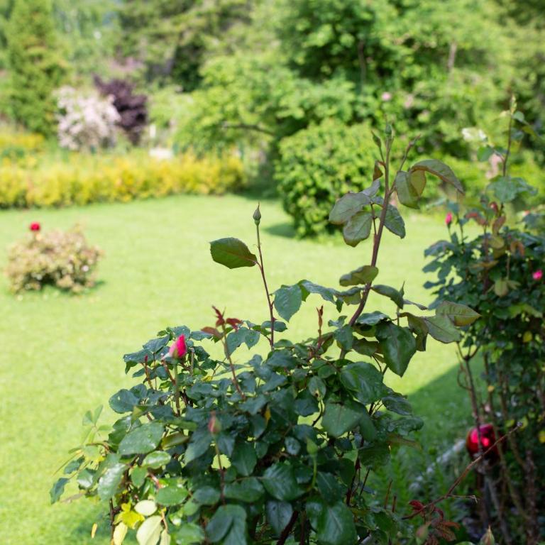 Villa Forellenweg - Ferienhaus - 4