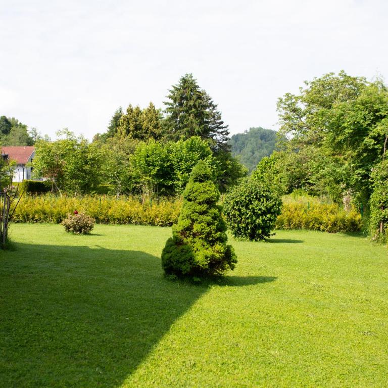 Villa Forellenweg - Ferienhaus - 3