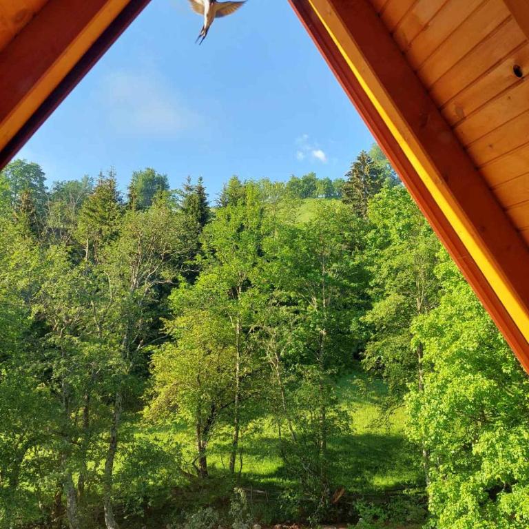 Brvnara Jahorinka - One-Bedroom House - 53