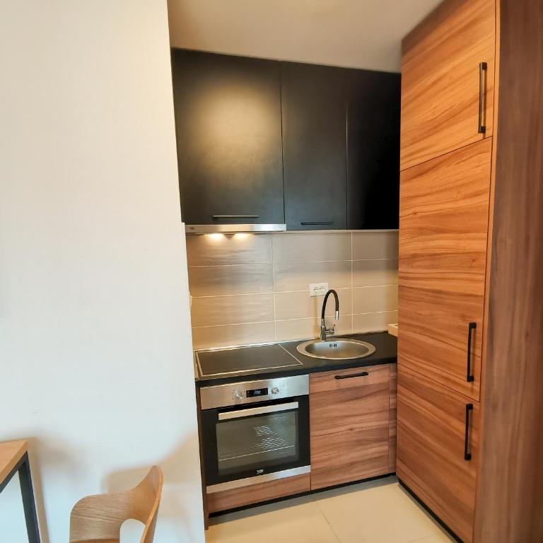 Apartments Overlooking the Green Hills of Ljubovic Park - One-Bedroom Apartment - 6
