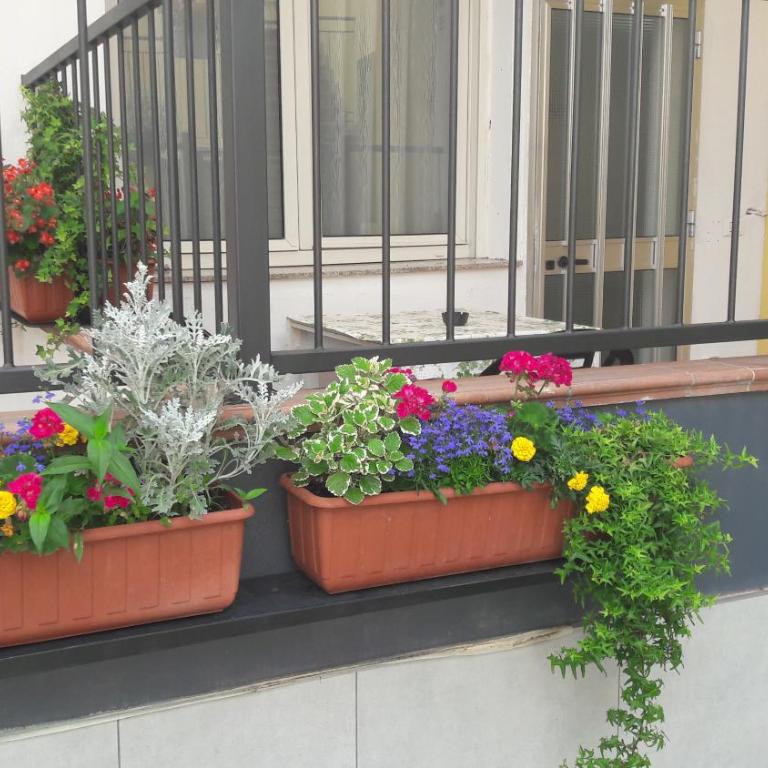 Appartamenti Borghetto San Donato 105 - Apartment - Ground Floor - 6