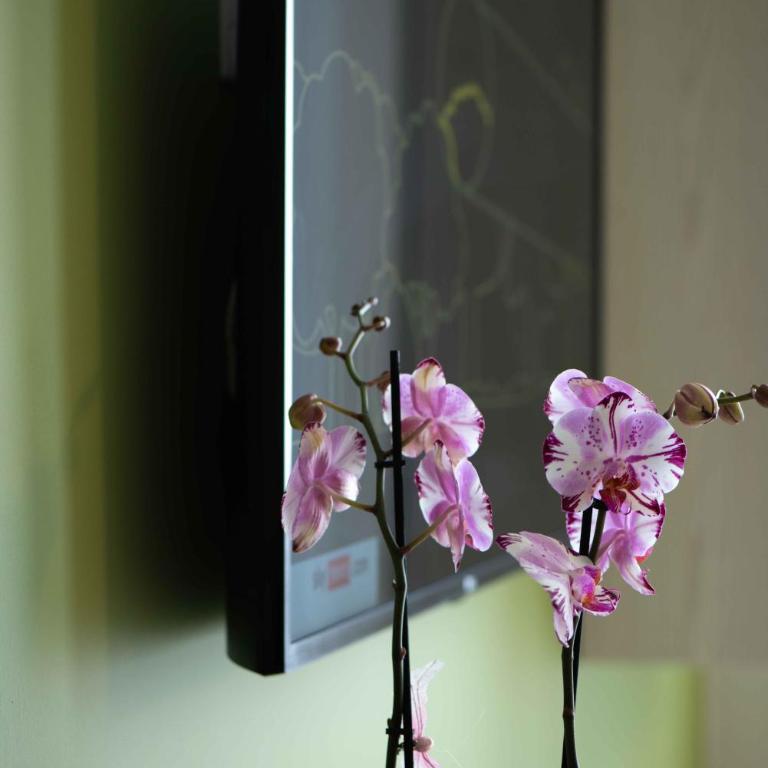 Residence Il Melograno - Appartamento Standard - 7