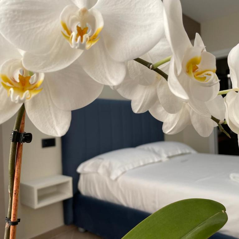 B&B L'Orchidea - Camera Queen Deluxe - 6