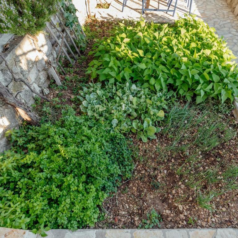 Villa Marija **** with private pool - Vila - 29