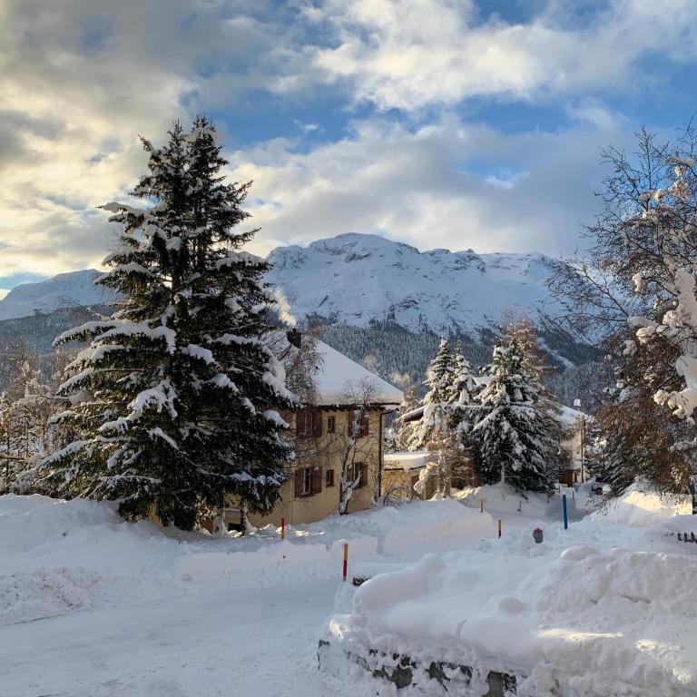 Lavinas 2 - Celerina - Apartment mit Blick auf die Berge - 17