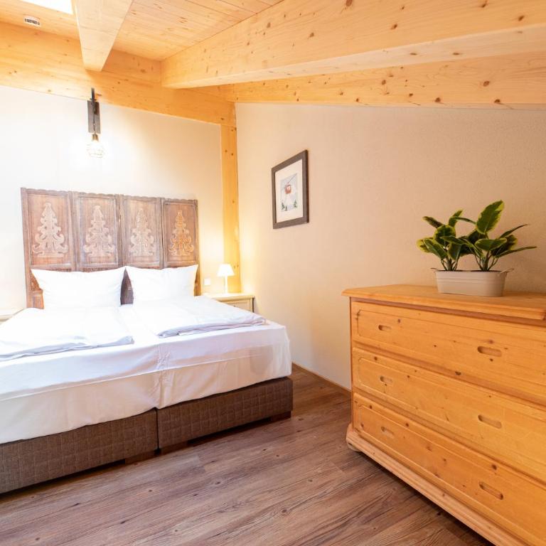 Haus Ludwig Alpenkrähe - Apartamento con vistas a las montañas - 18
