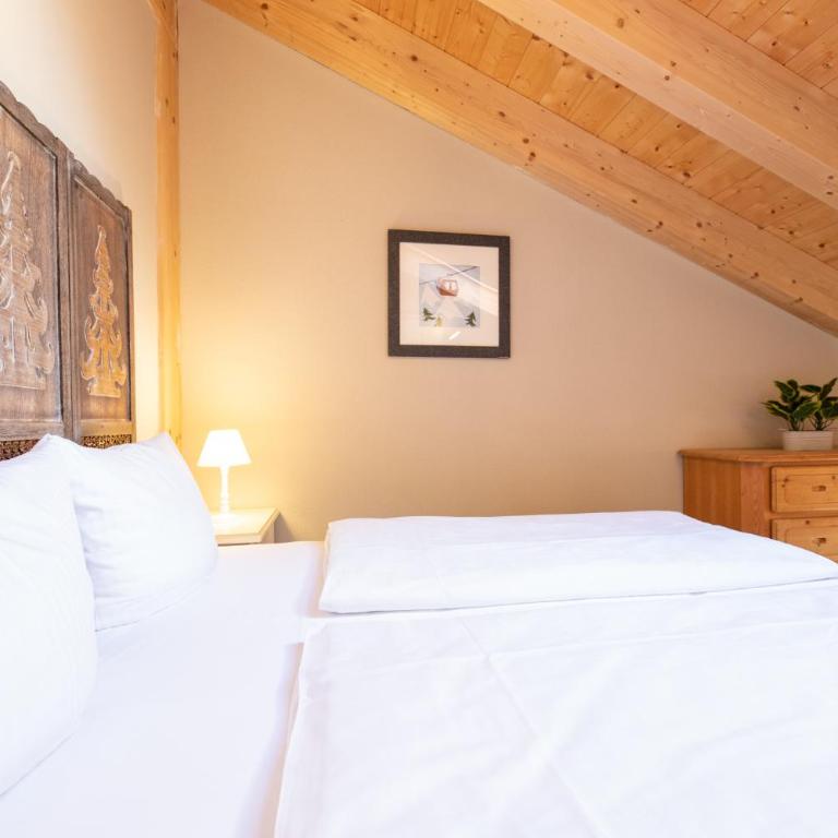 Haus Ludwig Alpenkrähe - Apartamento con vistas a las montañas - 20