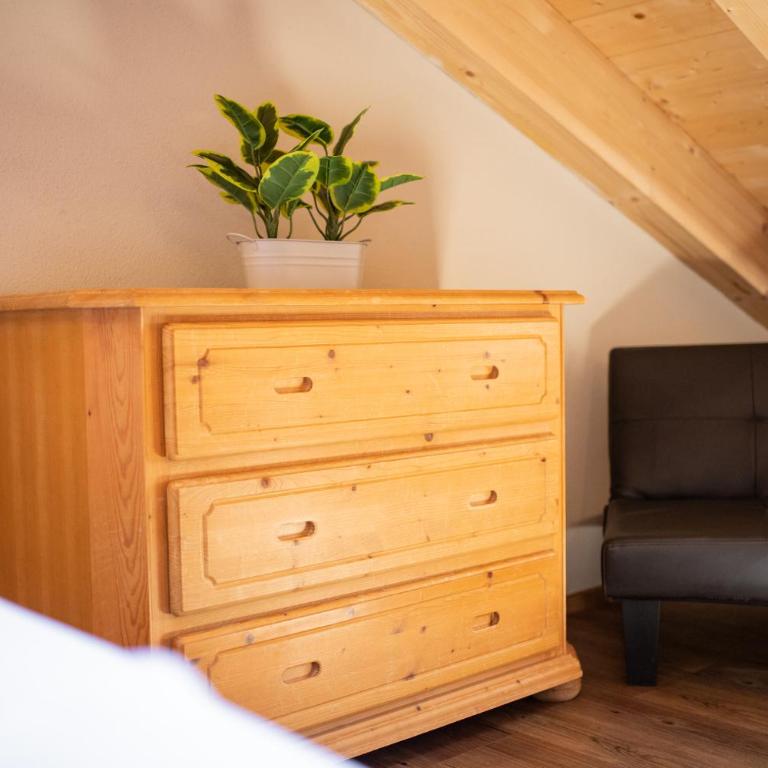 Haus Ludwig Alpenkrähe - Apartamento con vistas a las montañas - 21