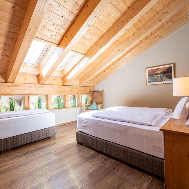 Haus Ludwig Alpenkrähe - Apartamento con vistas a las montañas - 23
