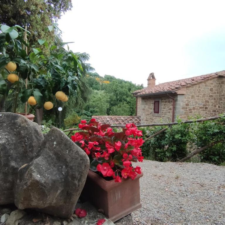 Agriturismo I Cedri - Appartamento Superior - 23