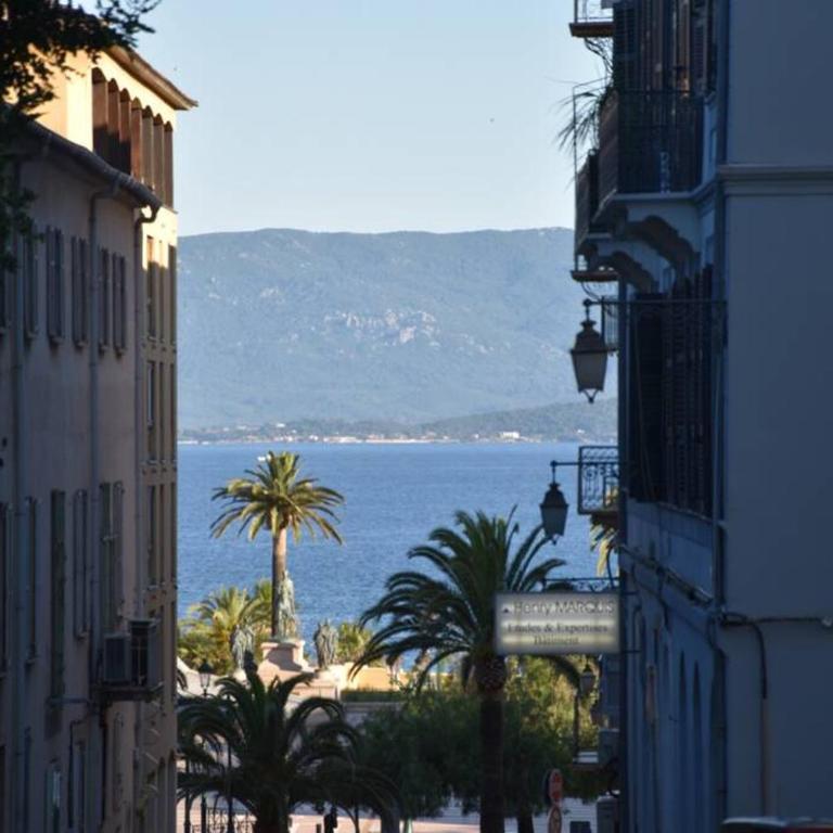 Appartement plein de charme - Ajaccio hyper centre - Appartamento con 1 Camera da Letto - 25
