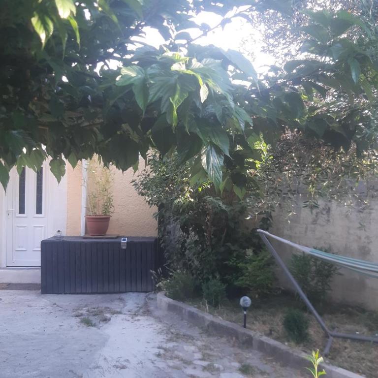 Ogooué Studio - Studio avec Vue sur Jardin - 4