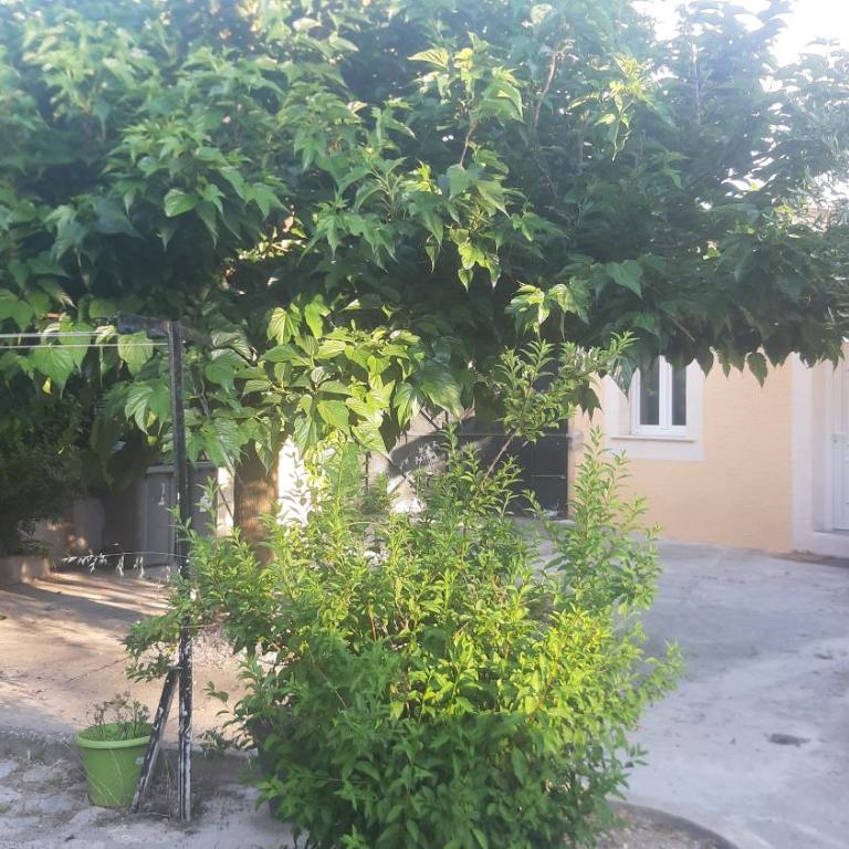 Ogooué Studio - Studio avec Vue sur Jardin - 1