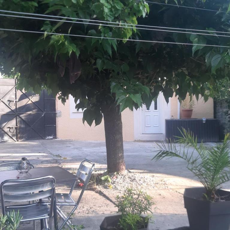 Ogooué Studio - Studio avec Vue sur Jardin - 2