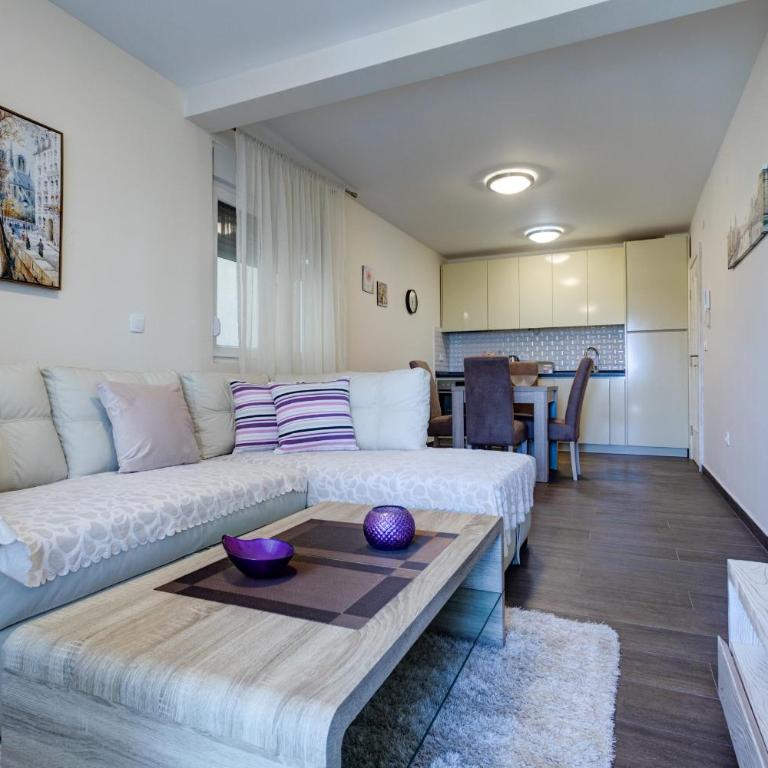 Apartments Horizont - Apartman sa Terasom - 4