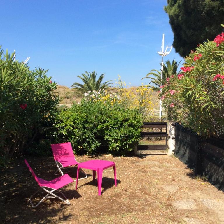 Le serpent de mer - Studio-Apartment - 22