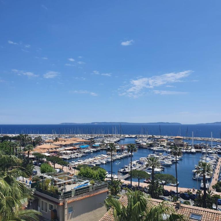Vue mer exceptionnelle - Appartement 1 Chambre - 1