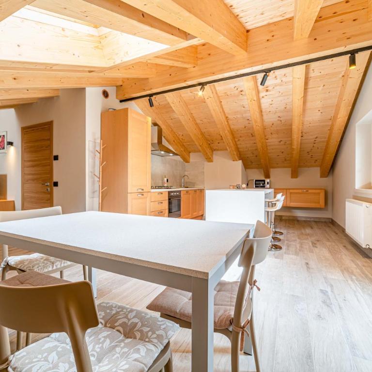 Blizzard apartments, Alpine chalet ski in ski out - Appartamento Attico - 5