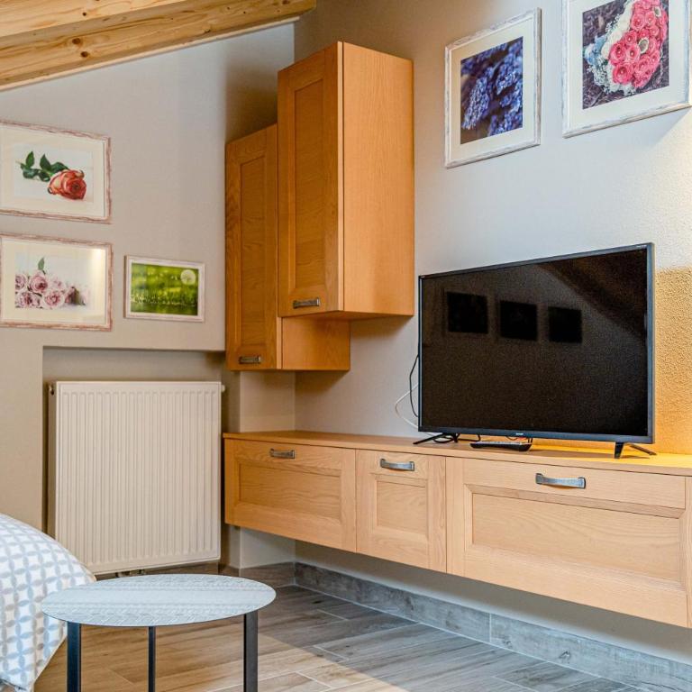 Blizzard apartments, Alpine chalet ski in ski out - Appartamento Attico - 7