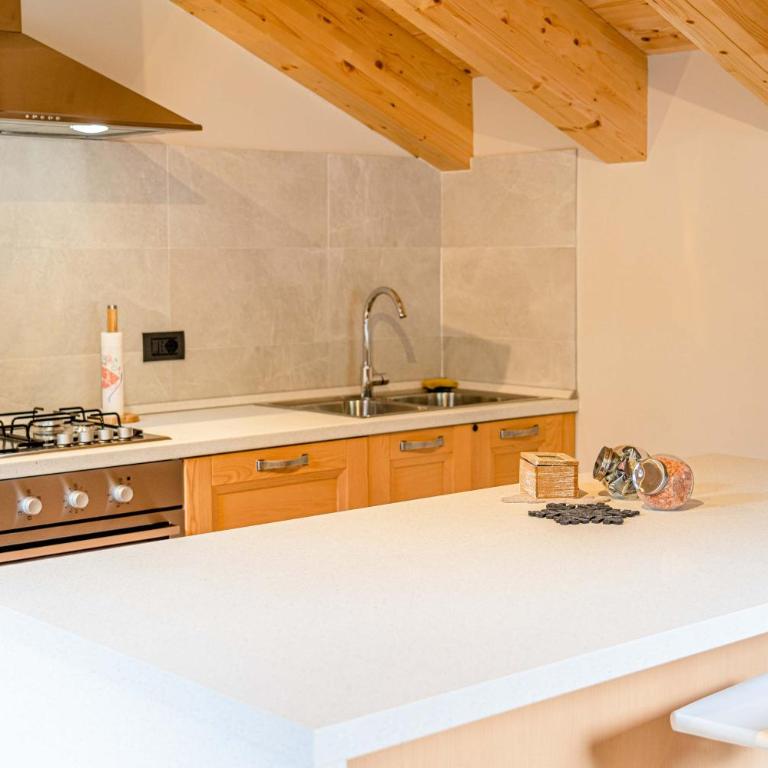Blizzard apartments, Alpine chalet ski in ski out - Appartamento Attico - 8