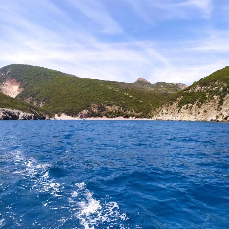 BOK HOLIDAY HOME Petrovac - Two-Bedroom Apartment - 7