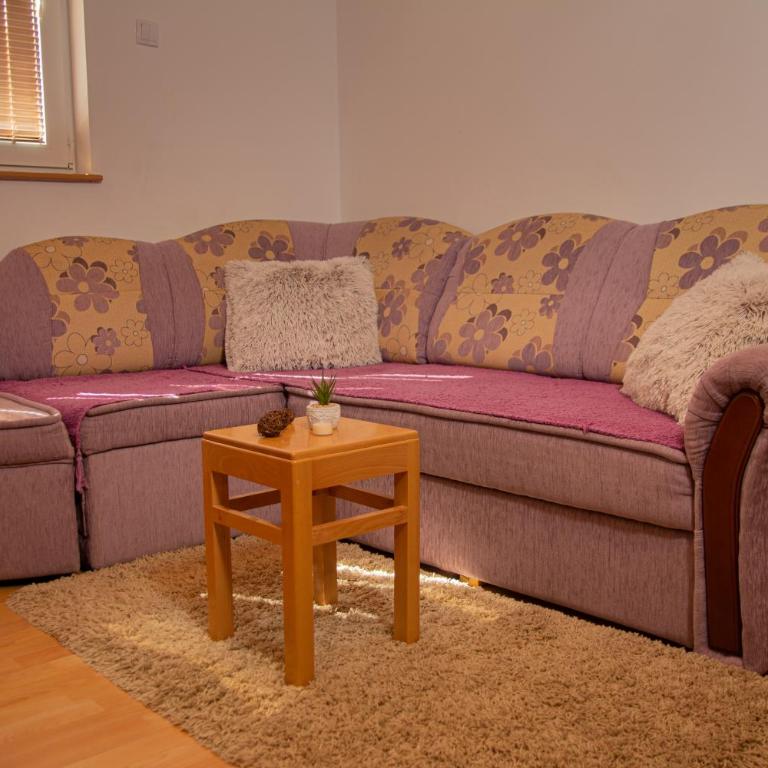 Vikendice porodice Smiljanić - Two-Bedroom Apartment - 26