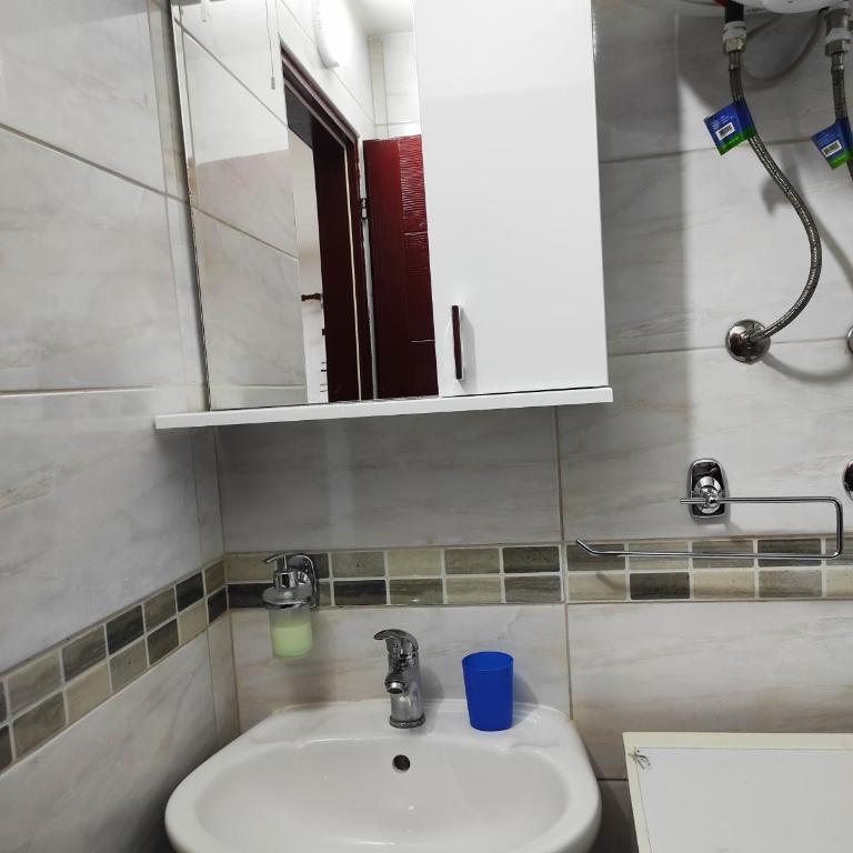 Vila Dinka - Apartman sa Balkonom - 5