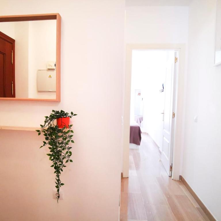 Fuengirola Centro Histórico. A 200 m de la playa - Apartamento de 1 dormitorio - 21