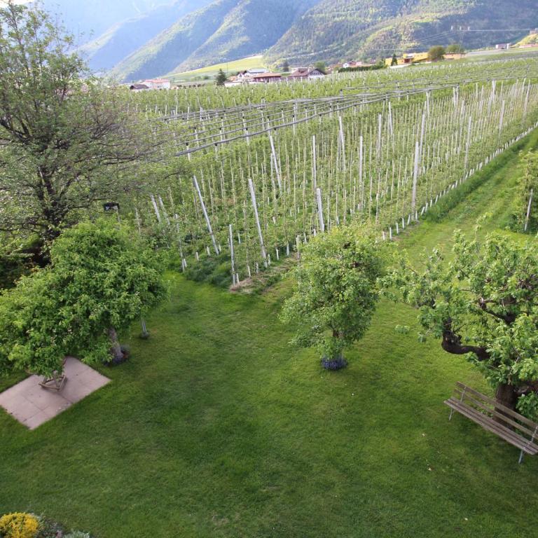 Haus im Erlengrund - Appartamento con 2 Camere da Letto e con Vista Montagna - 5