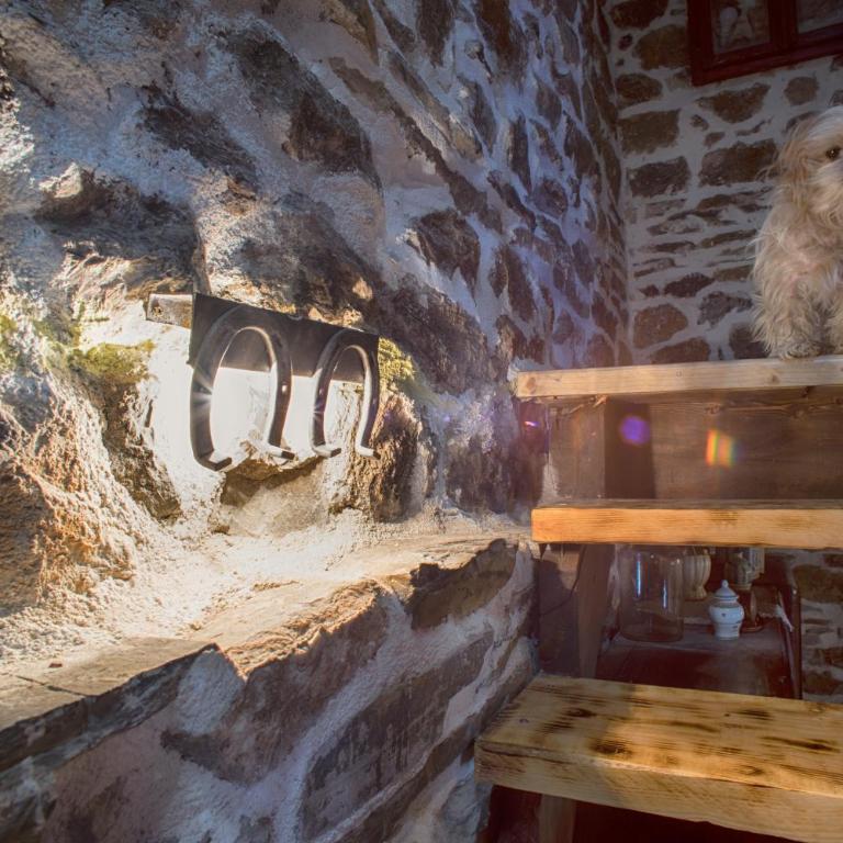 Djurdjevina Family Farm - Kuća sa 3 Spavaće Sobe - 25
